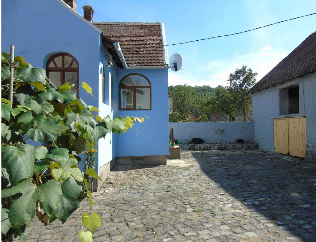 Vila The Dream House Of Racos Racosu de Jos Exteriér fotografie